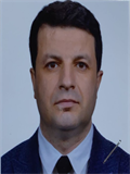 Prof. Dr. SUAT KAMIŞLI