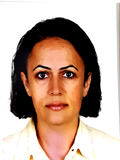 Prof. Dr. DERYA KARASU