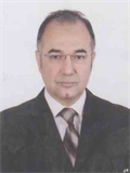 Prof. Dr. MUHAMMET GÜZELSOY